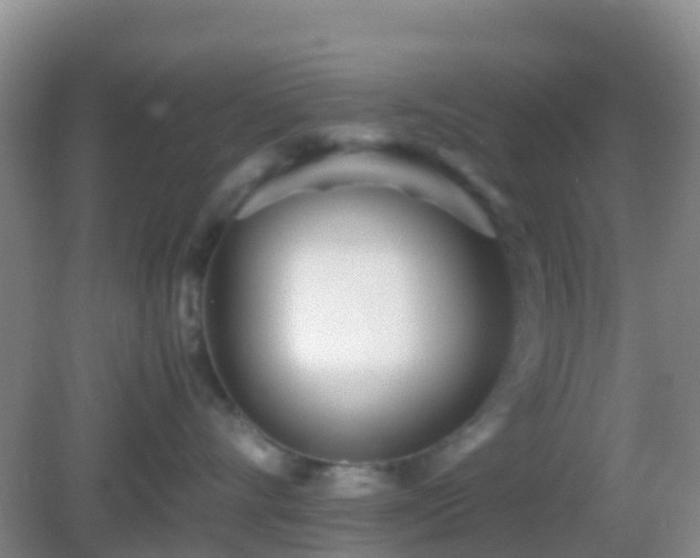 X0000083030528200702021129