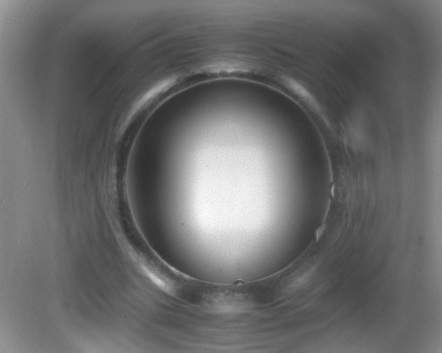 X0000083030535200702021128