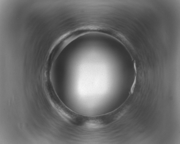 X0000083030536200702021128