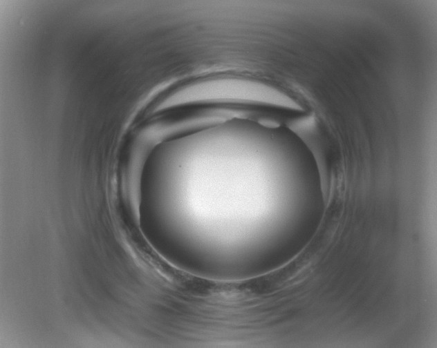 X0000083030540200702021128