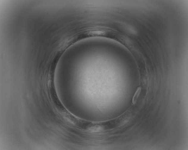 X0000083030551200702021129