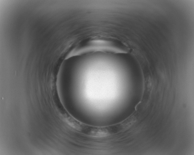X0000083030559200702021129