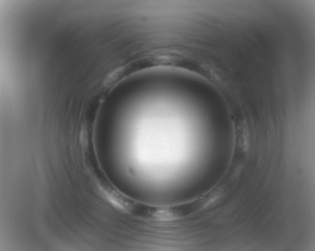 X0000083030562200702021129