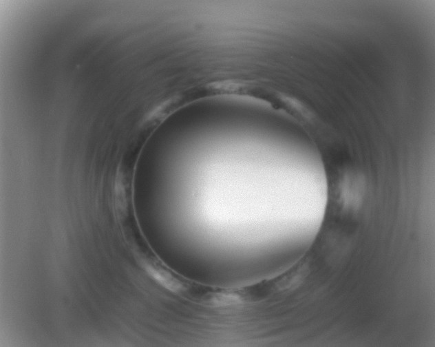 X0000083030572200702021129