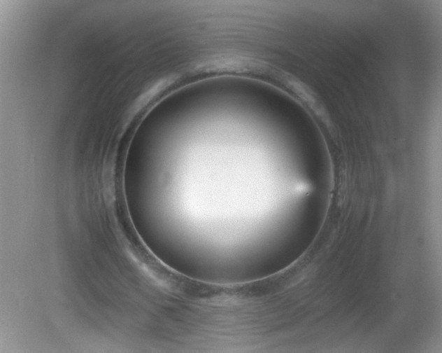 X0000083030578200702021128