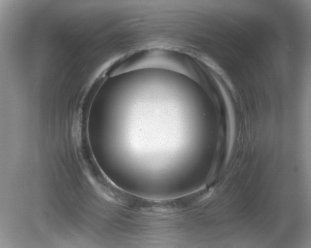 X0000083030580200702021128