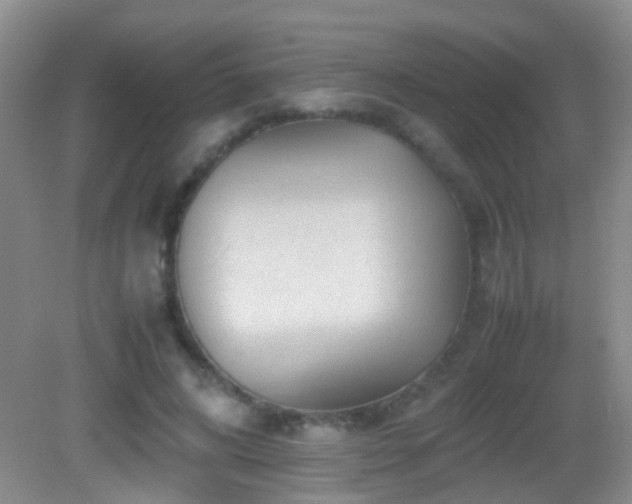 X0000083030592200702021128