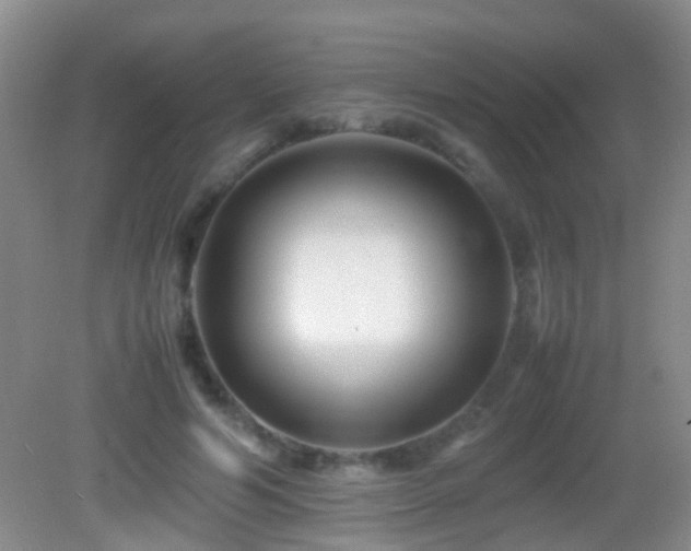 X0000083030594200702021128