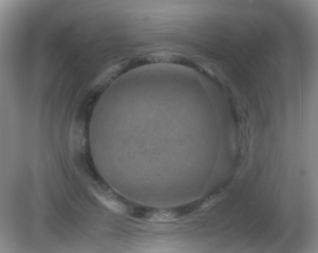 X0000083030599200702021128