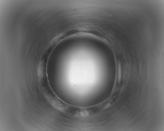 X0000083030600200702021128