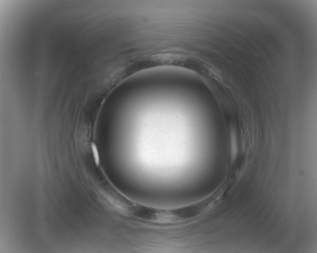 X0000083030605200702021128