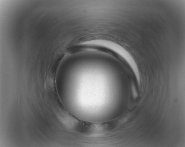 X0000083030613200702021128