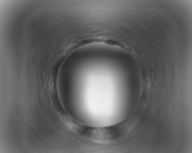 X0000083030615200702021127