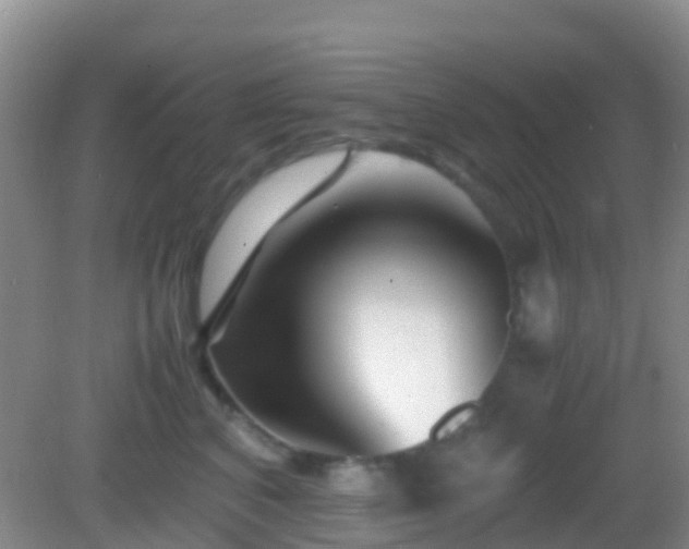 X0000083030616200702021127