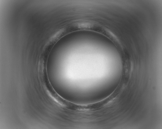 X0000083030637200702021127