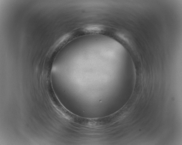 X0000083030641200702021127