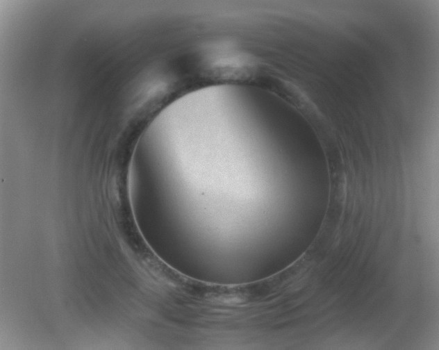 X0000083030643200702021127