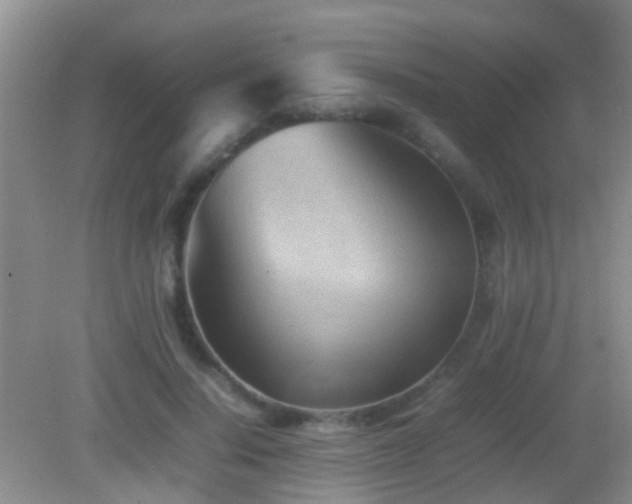 X0000083030644200702021127