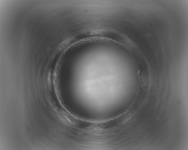 X0000083030648200702021127