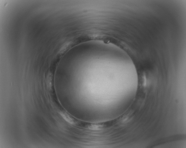 X0000083030664200702021127