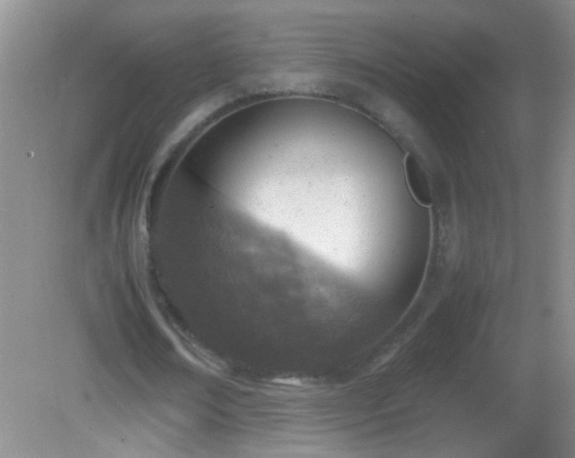 X0000083030674200702021126