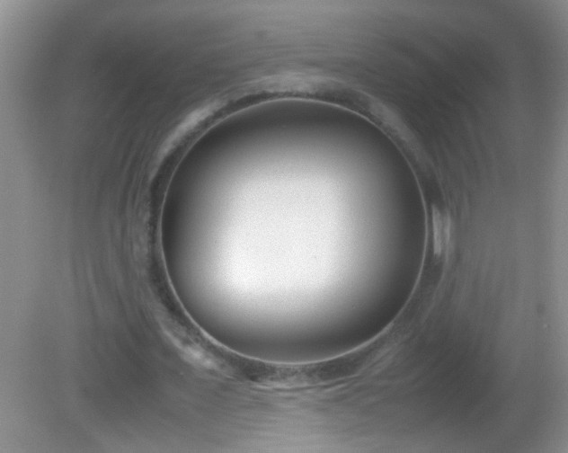 X0000083030675200702021126