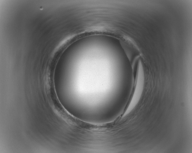 X0000083030680200702021126