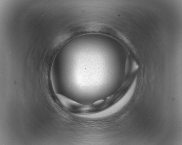 X0000083030681200702021126
