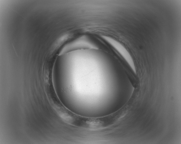 X0000083030693200702021126