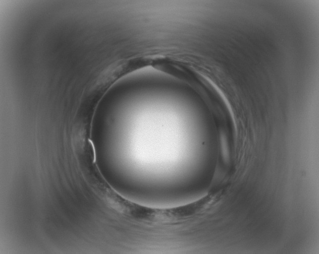 X0000083030697200702021126