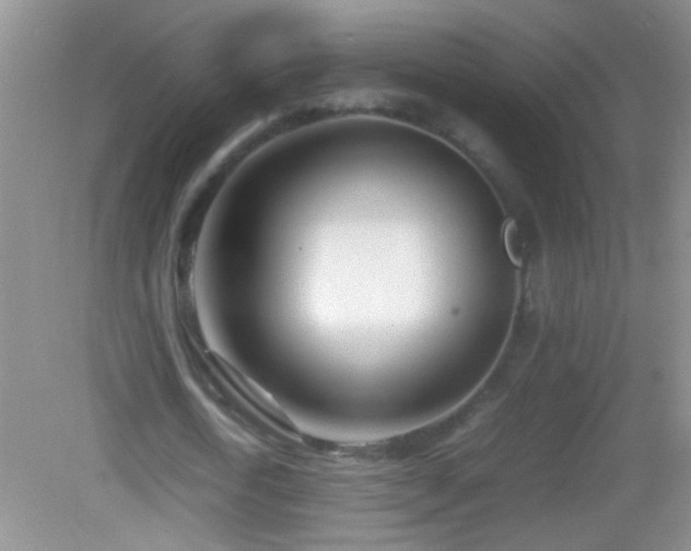 X0000083030722200702021125
