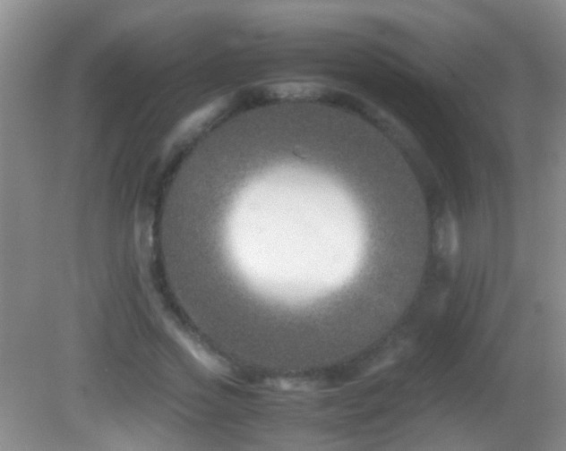 X0000083030733200702021125