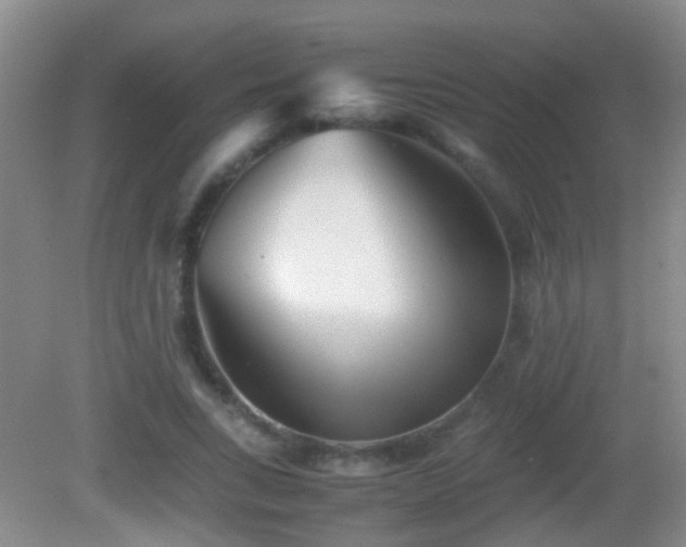 X0000083030735200702021125