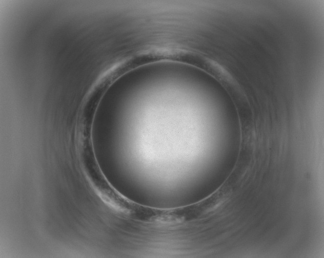 X0000083030736200702021125
