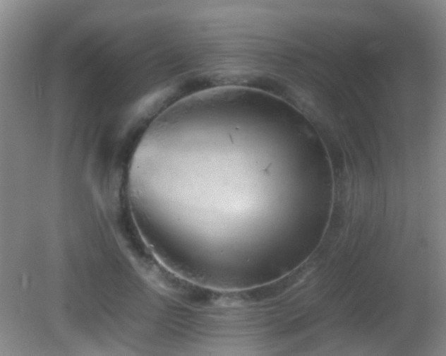 X0000083030742200702021125