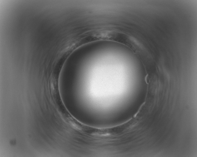 X0000083030747200702021125