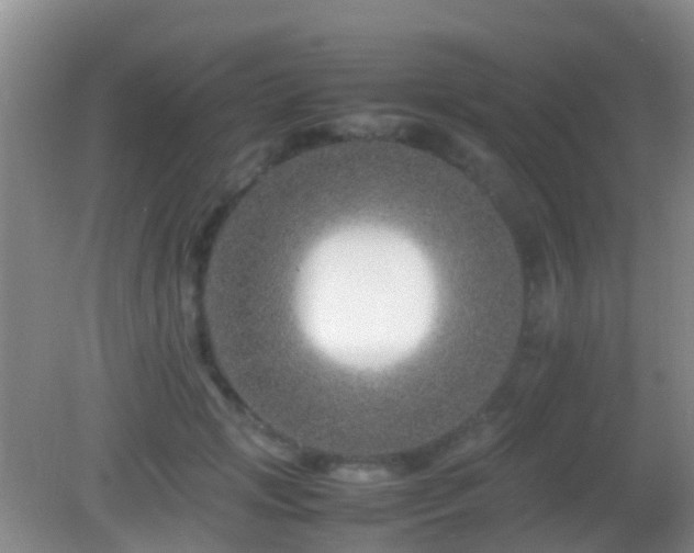 X0000083030749200702021125