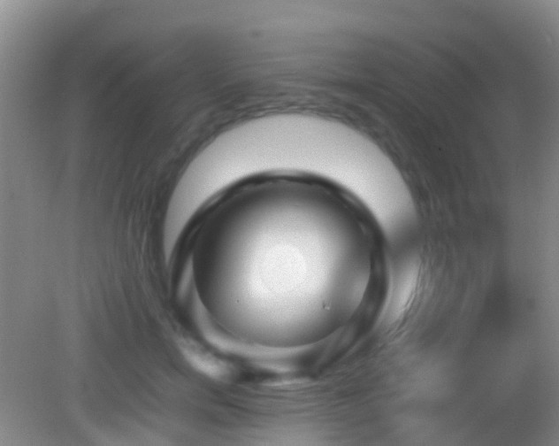 X0000083030750200702021125