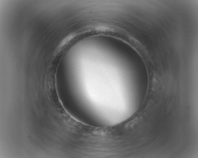 X0000083030776200702021125