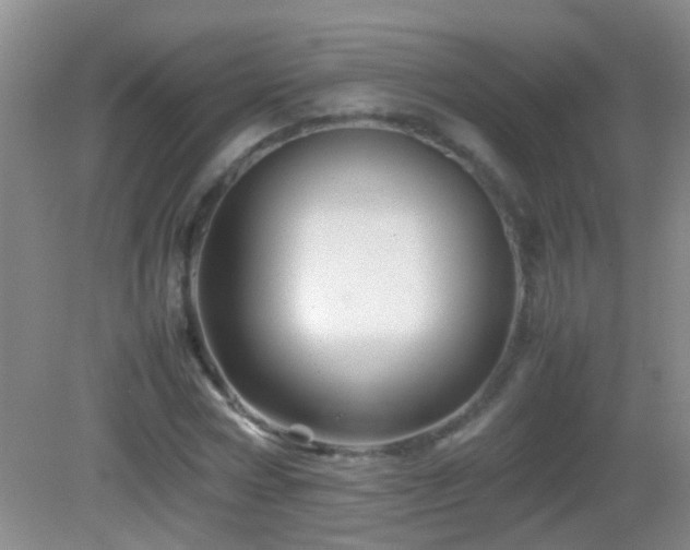 X0000083030778200702021125