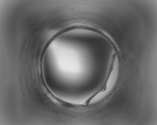 X0000083030791200702021125