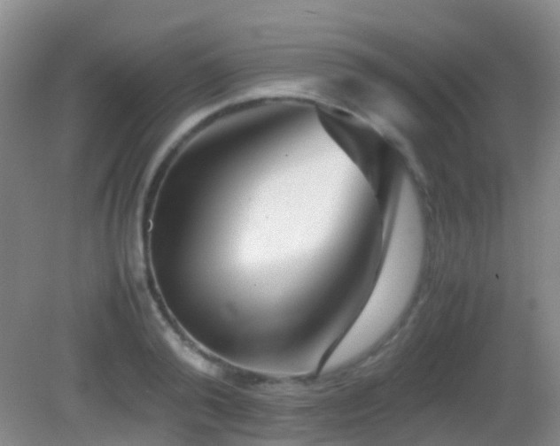 X0000083030792200702021125