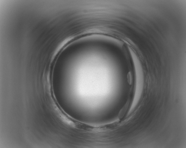 X0000083030796200702021124