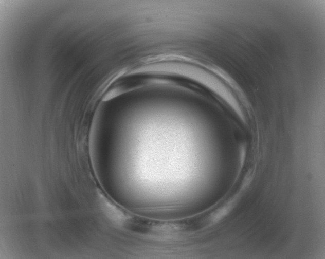 X0000083030801200702021124
