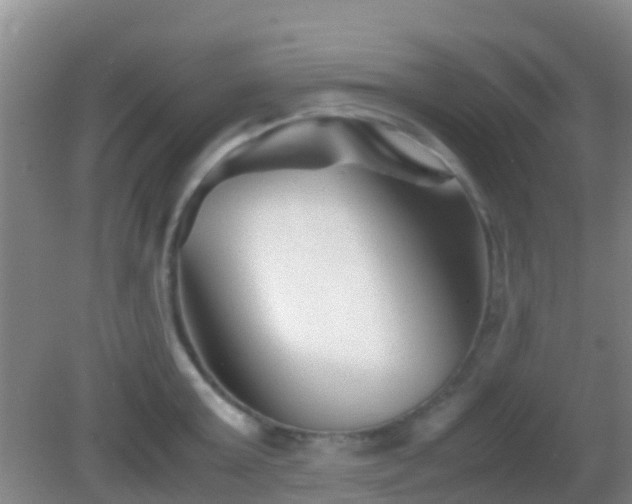 X0000083030803200702021124
