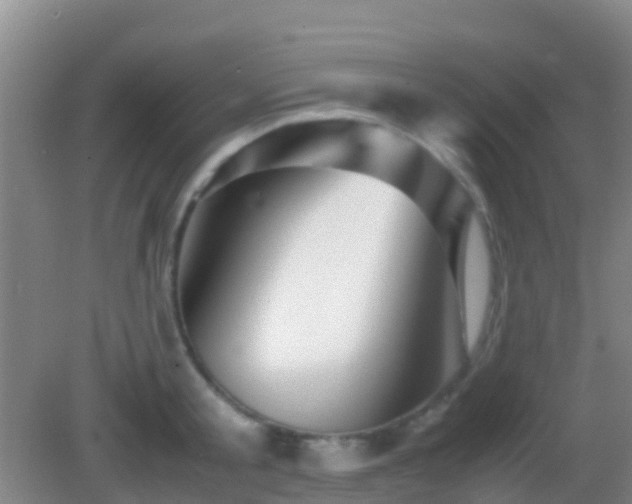 X0000083030805200702021124