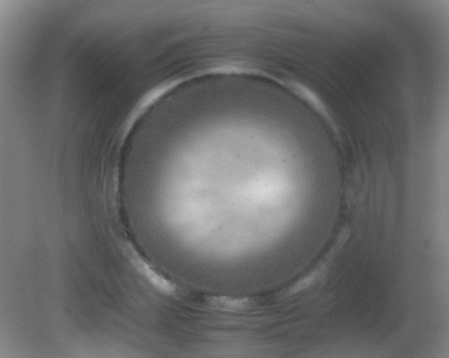 X0000083030831200702021124