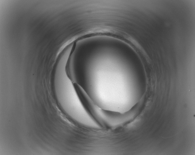 X0000083030834200702021124