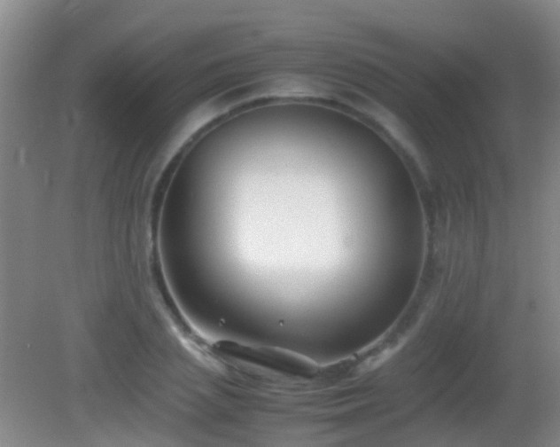 X0000083030837200702021124