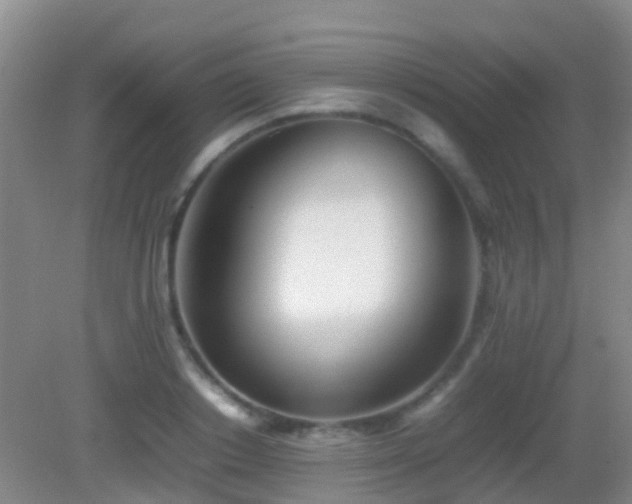 X0000083030842200702021124
